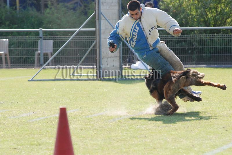 3 EME SELECTIF 2009 GRANDE SYNTHE 259.jpg